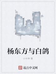 杨东方与白鸽